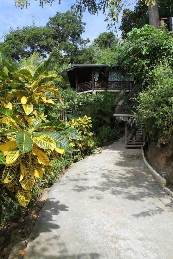 Alibaba'S Seabreeze Apartment Castara Exterior photo